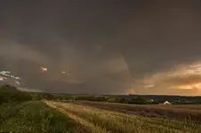***