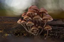 ^^^^^^