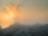 Tajemnica poranka