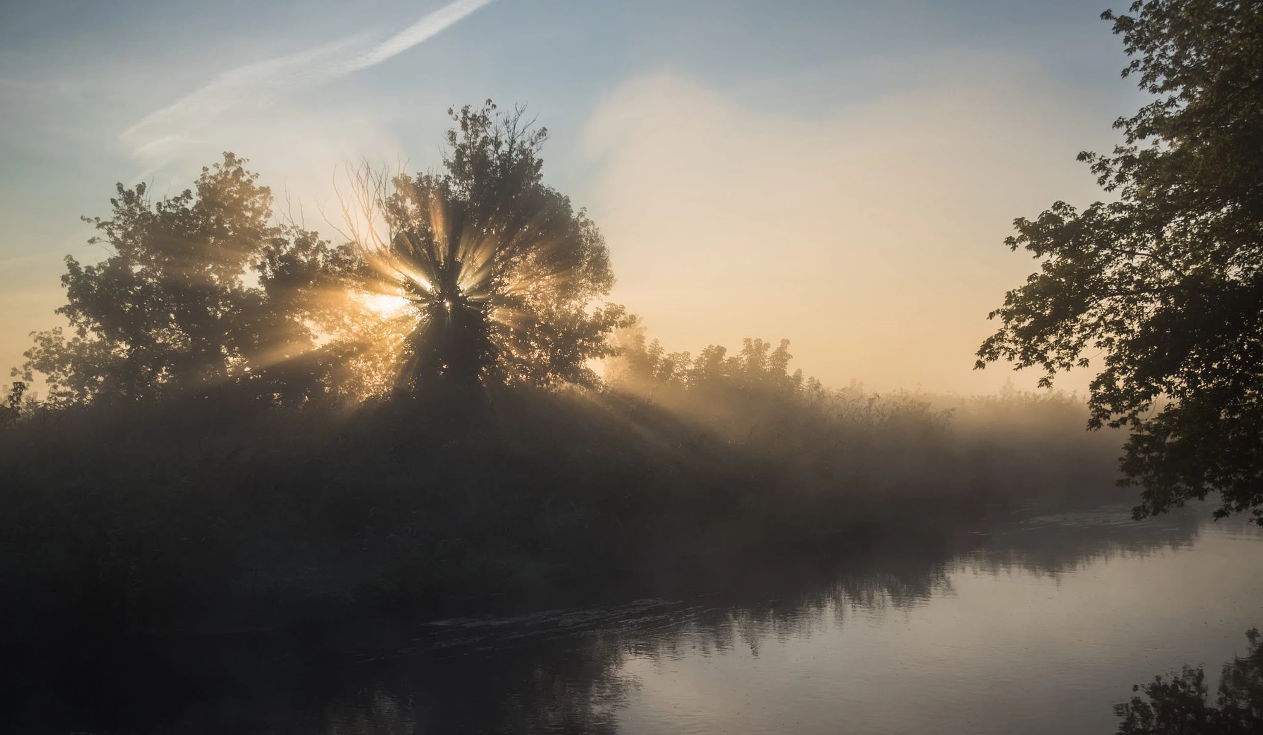 Misty morning 