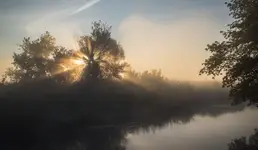 Misty morning