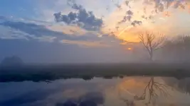 Misty morning