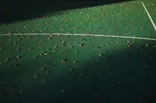 ....