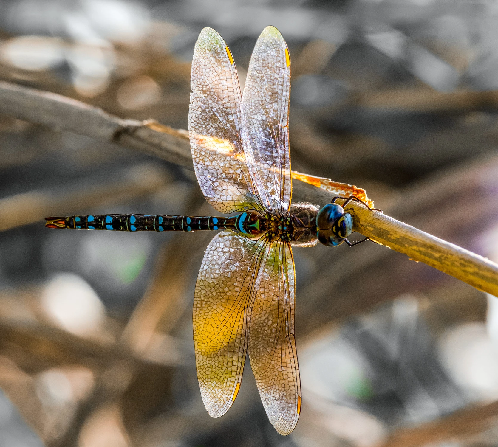 Witraż w promieniach słońca