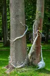 Sztuka alternatywna