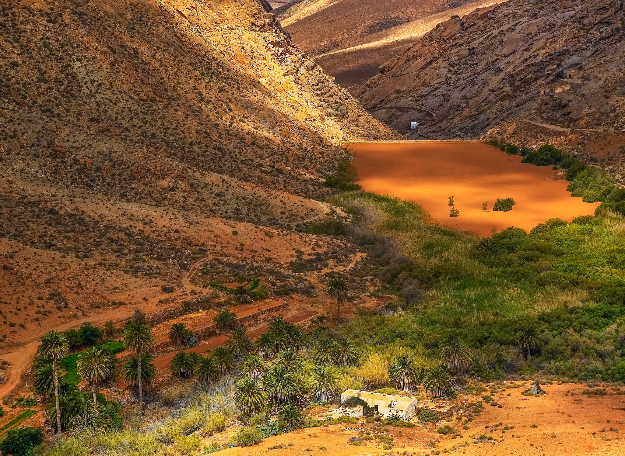 Fuerteventura