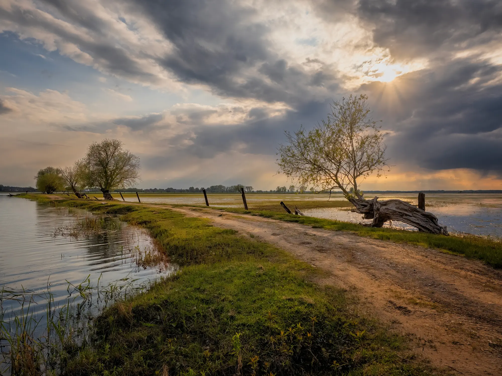 Wieczór nad rozlewiskiem