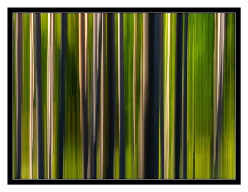 a_Pole