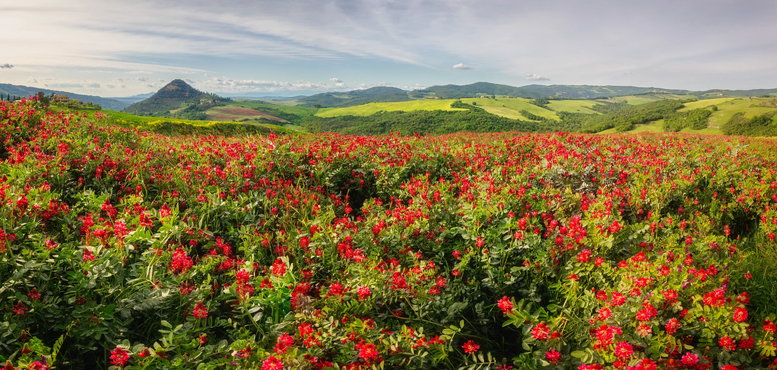 Pejzaż z siekiernicą