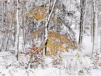 Kolorowy odcień bieli