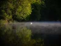 poranek
