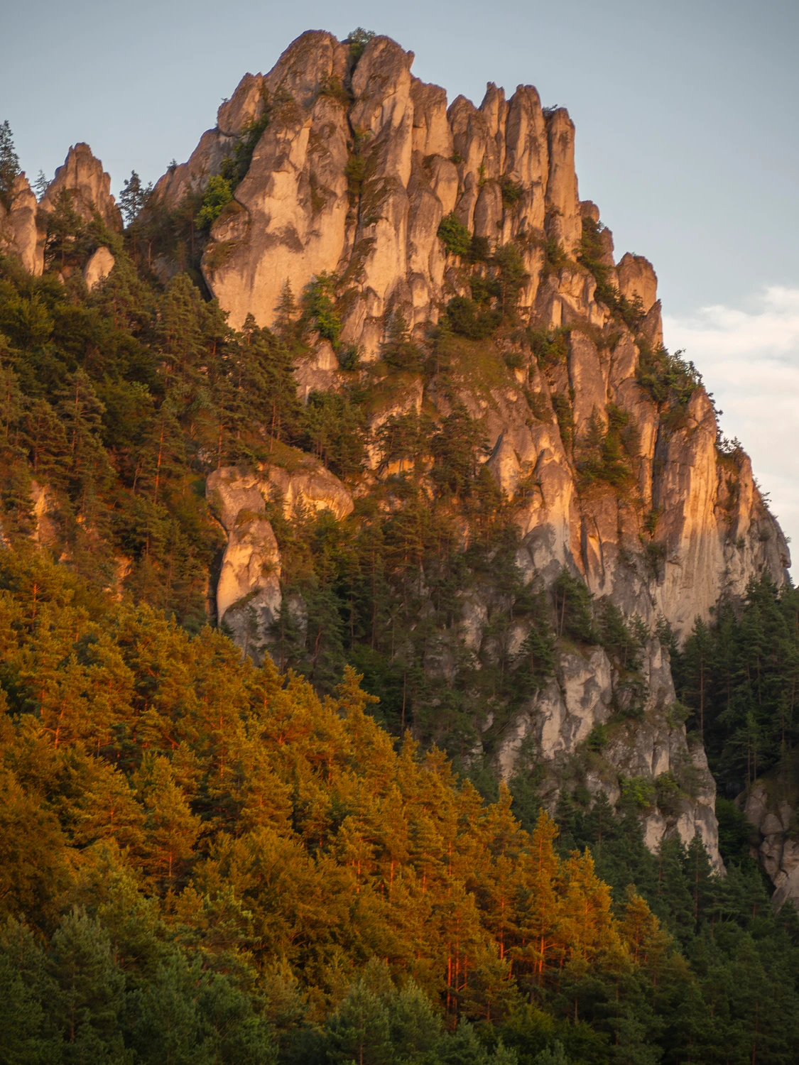 Karpaty