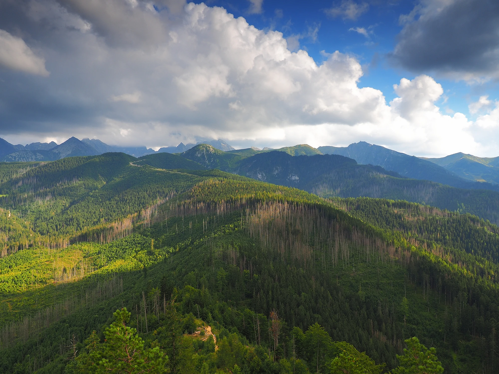 Tatry z Nosala