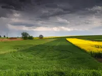 Łąka z kluczem.