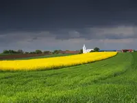 Majówkowy krajobraz 
