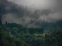 W Pieninach po burzy.