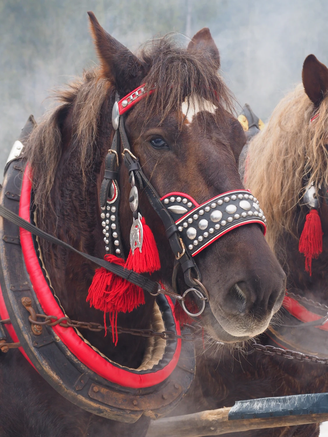 ...jaki jest, każdy widzi.