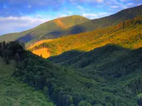 Karpaty