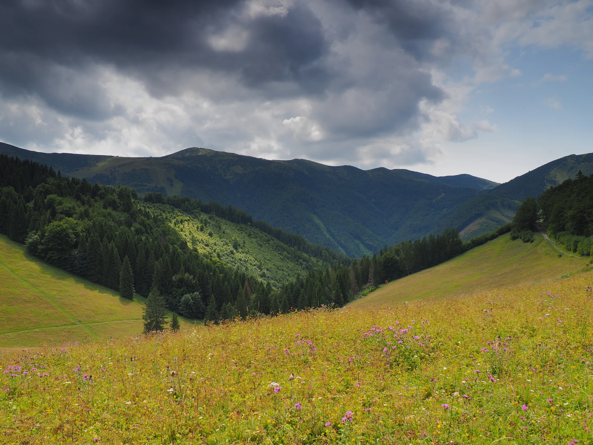 Mała Fatra
