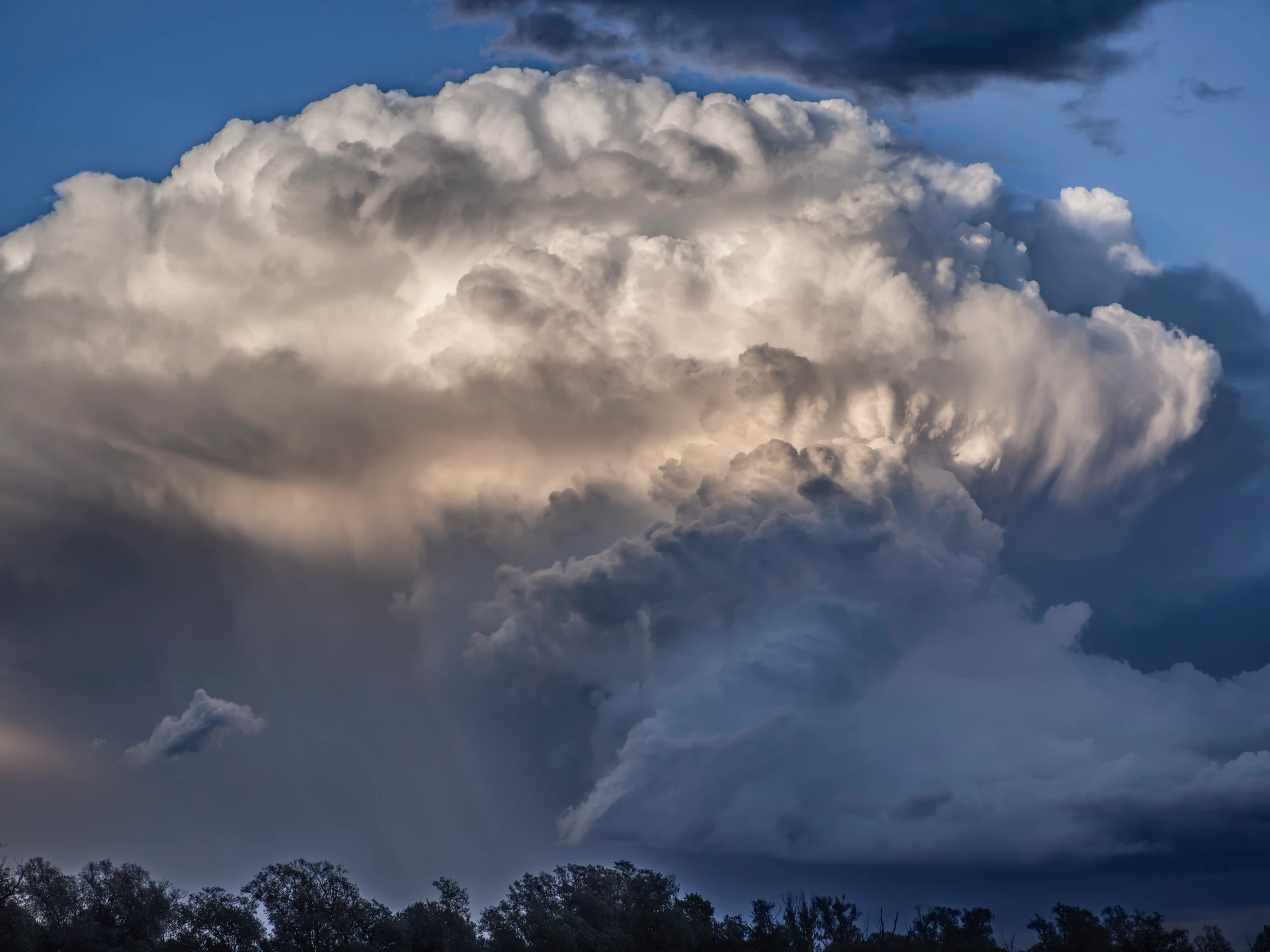 Cumulonimbus rex