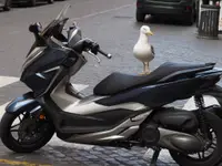 Gdzie jest k... mój kierowca!