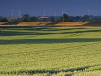 Ranek po turbinami