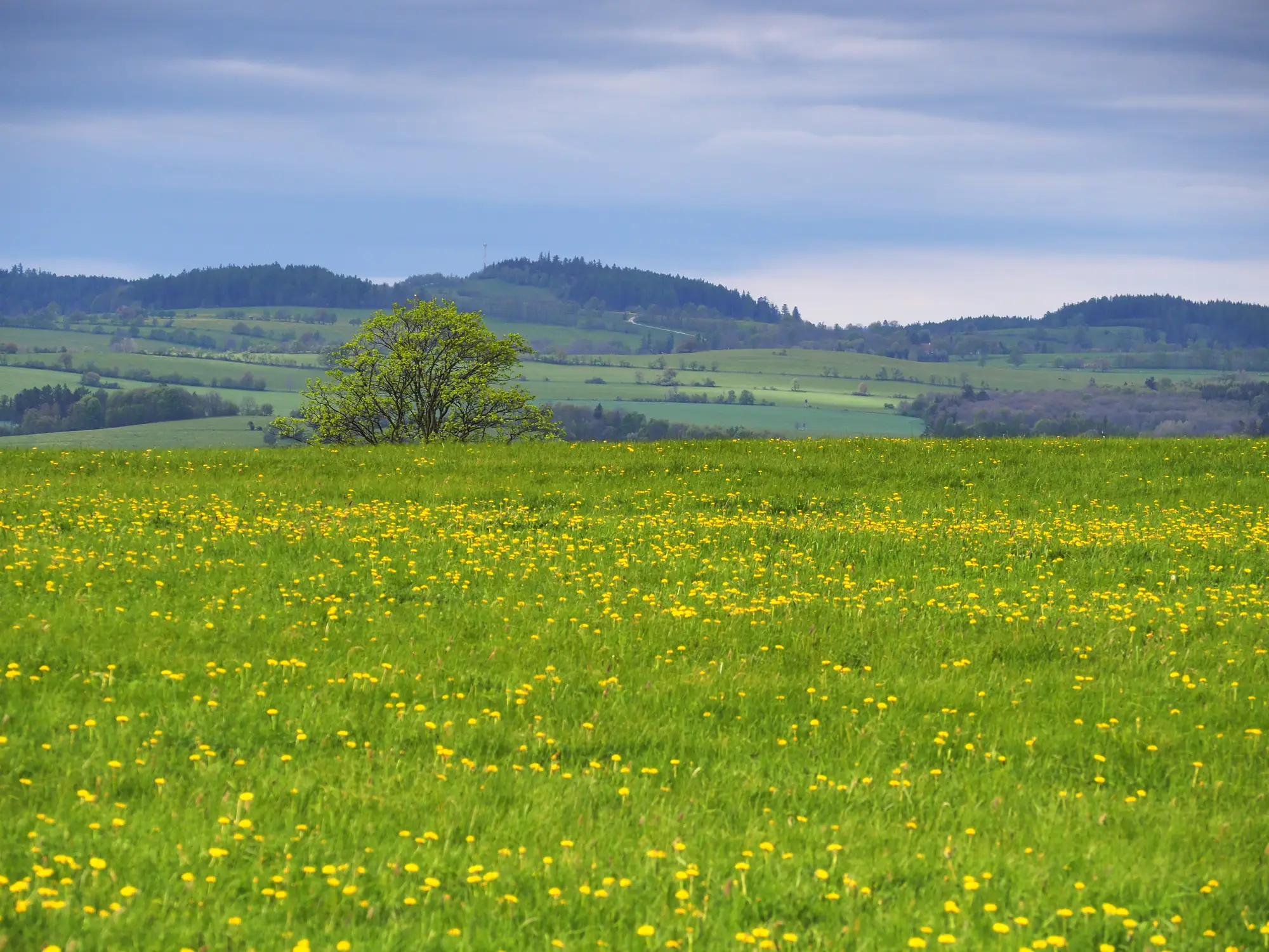 Czechy. Kraj Morawsko-Śląski.