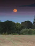 Wschód księżyca 