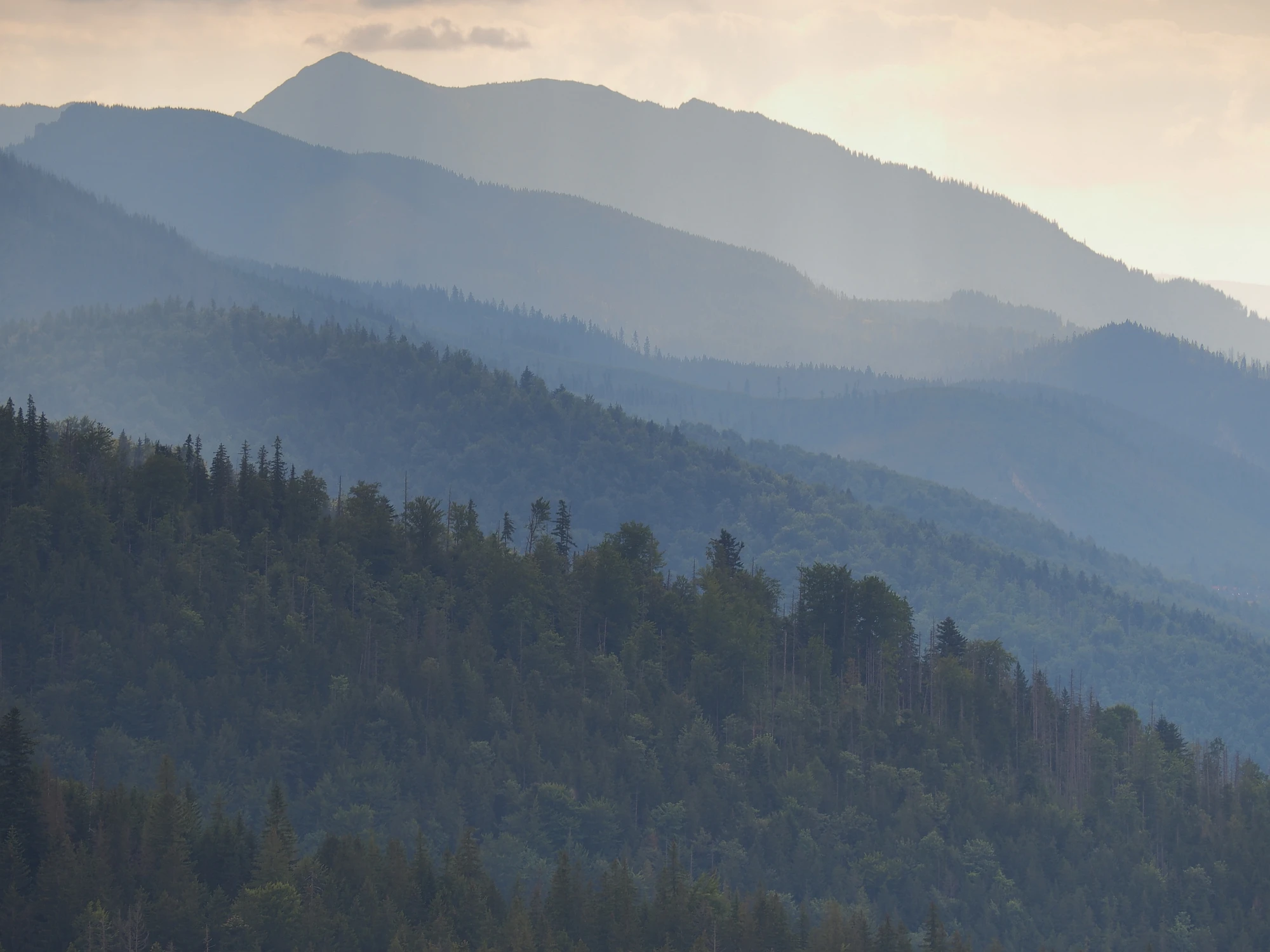 Tatry