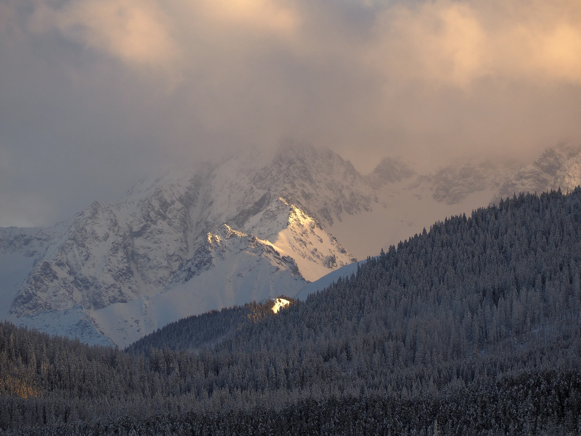 Tatry