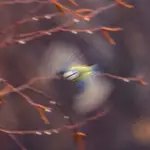 z dedykacją dla @maczata