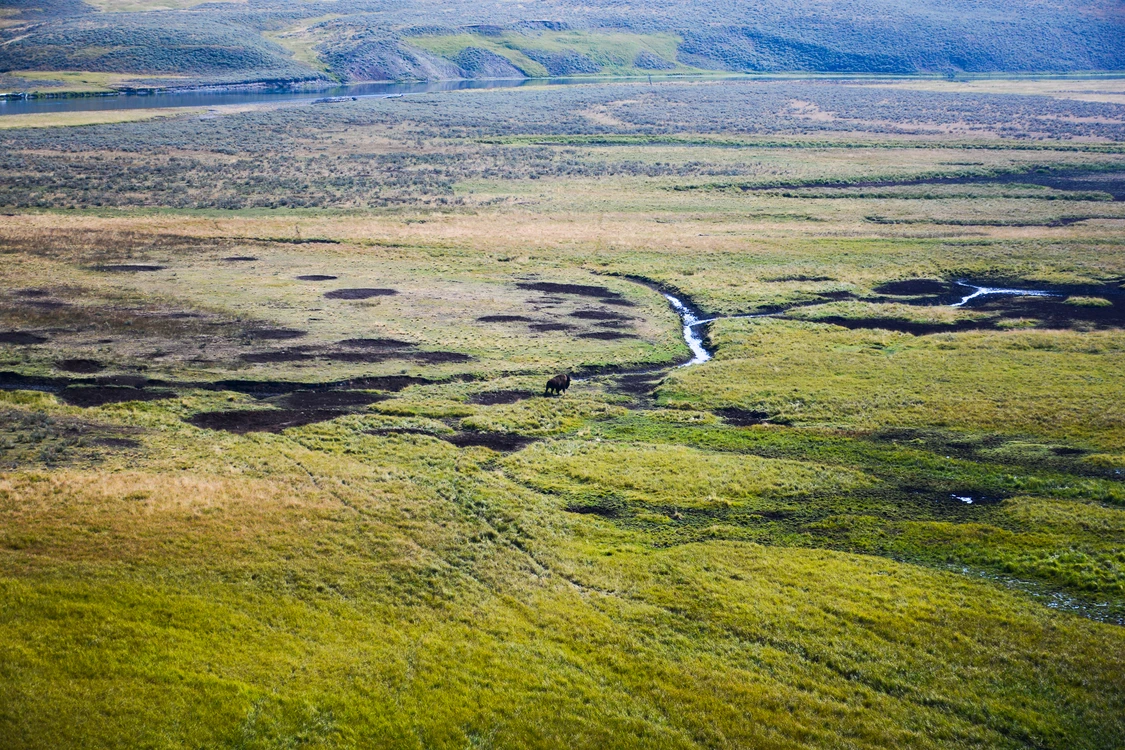 Samotność (Yellowstone)