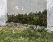 Wolność