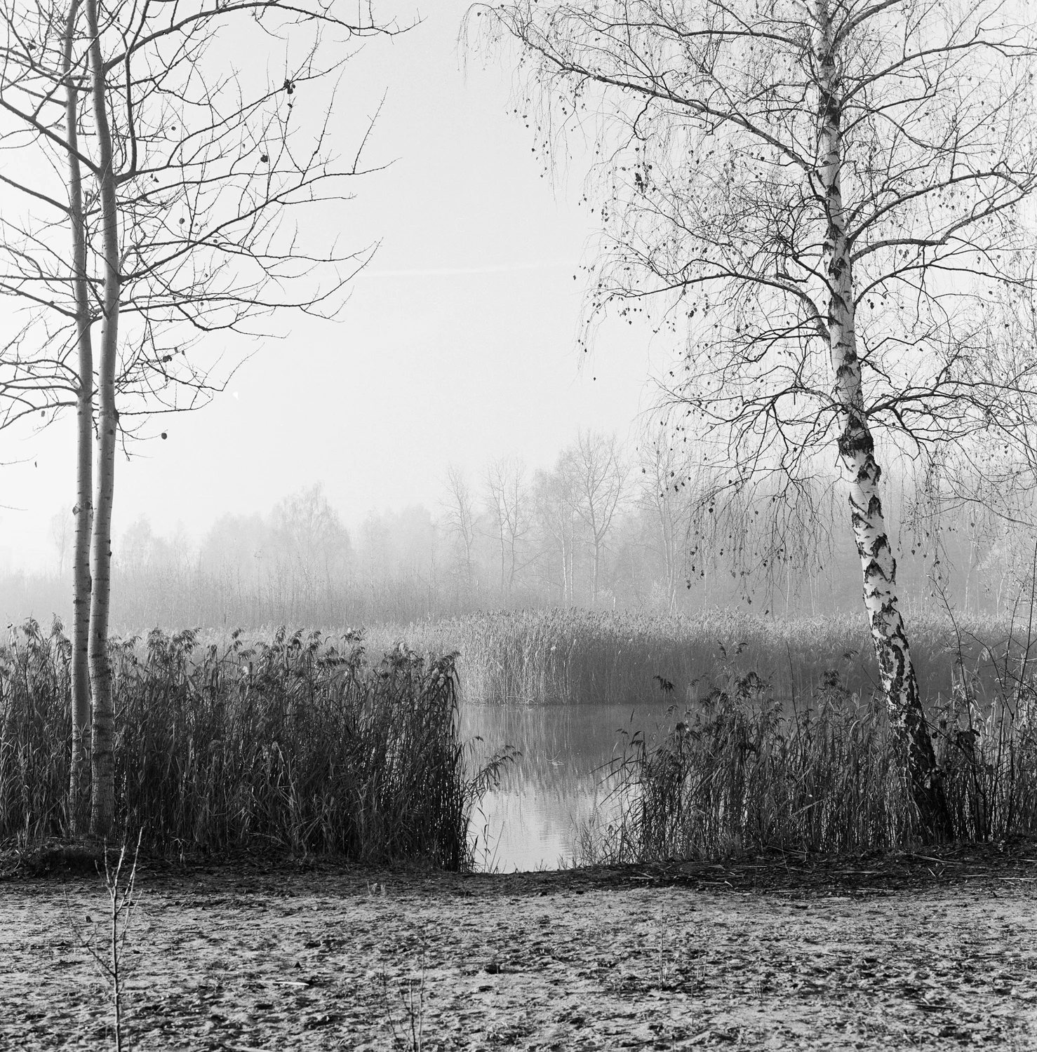 tak blisko, a tak daleko (rozdzieleni)