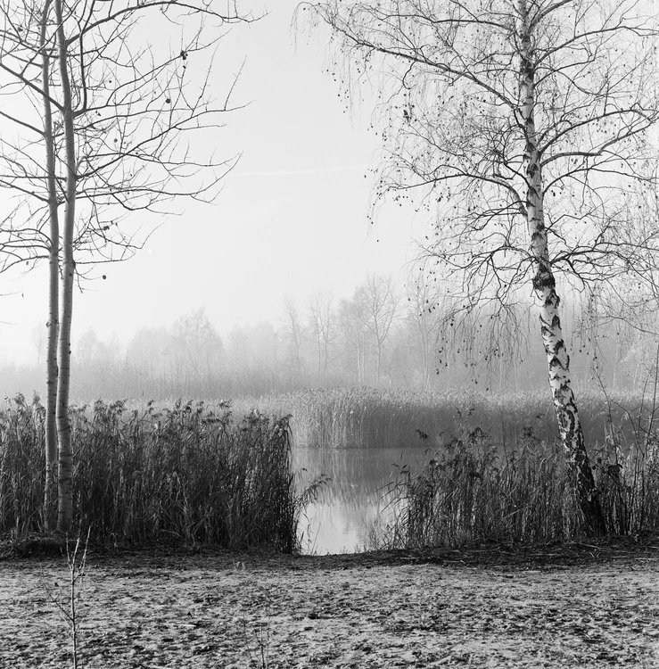 tak blisko, a tak daleko (rozdzieleni)