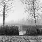 tak blisko, a tak daleko (rozdzieleni)