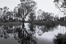 Nad rzeką 
