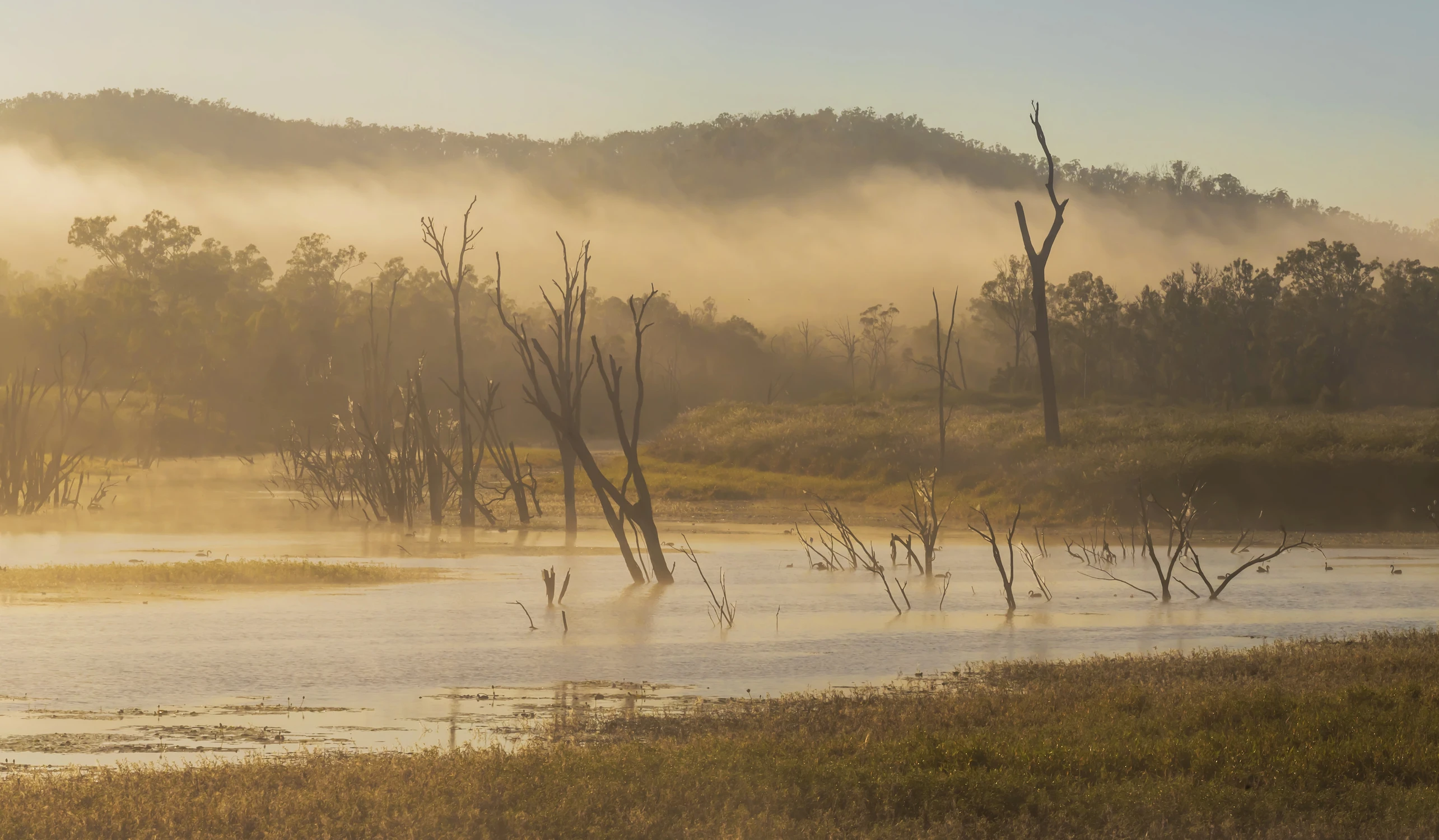 Nad jeziorem o poranku
