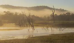 Nad jeziorem o poranku