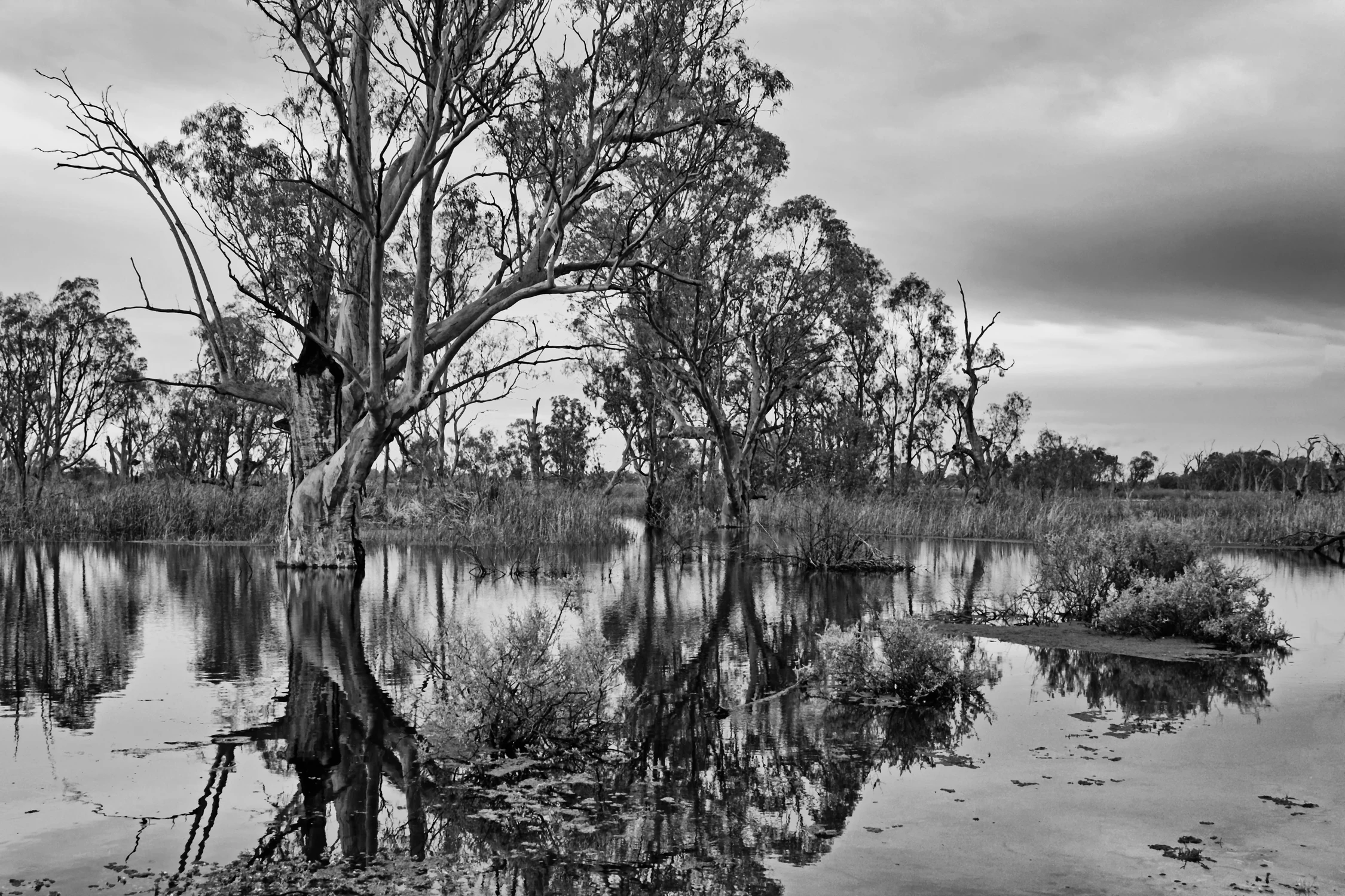 Rozlewiska w ponury dzień