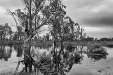 Rozlewiska w ponury dzień