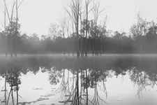 Ranek nad rzeką