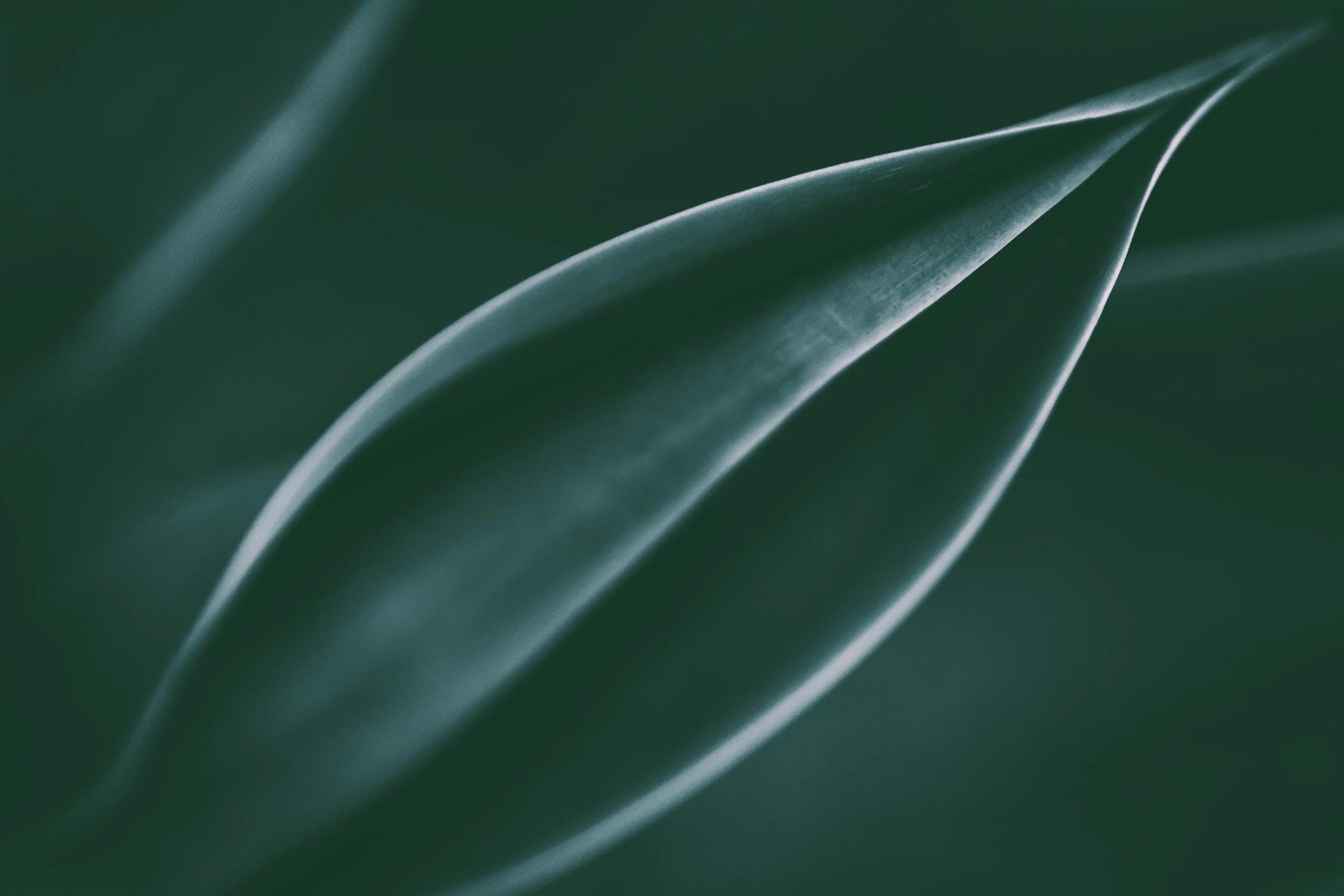 Agawa