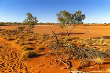 Czerwone piaski Australii