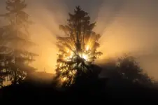 Poranna gra świateł.