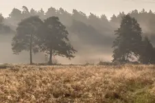 Świtanie.