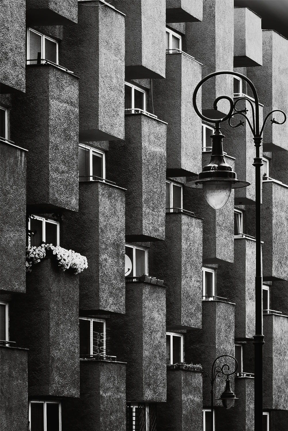 architektura