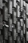 architektura