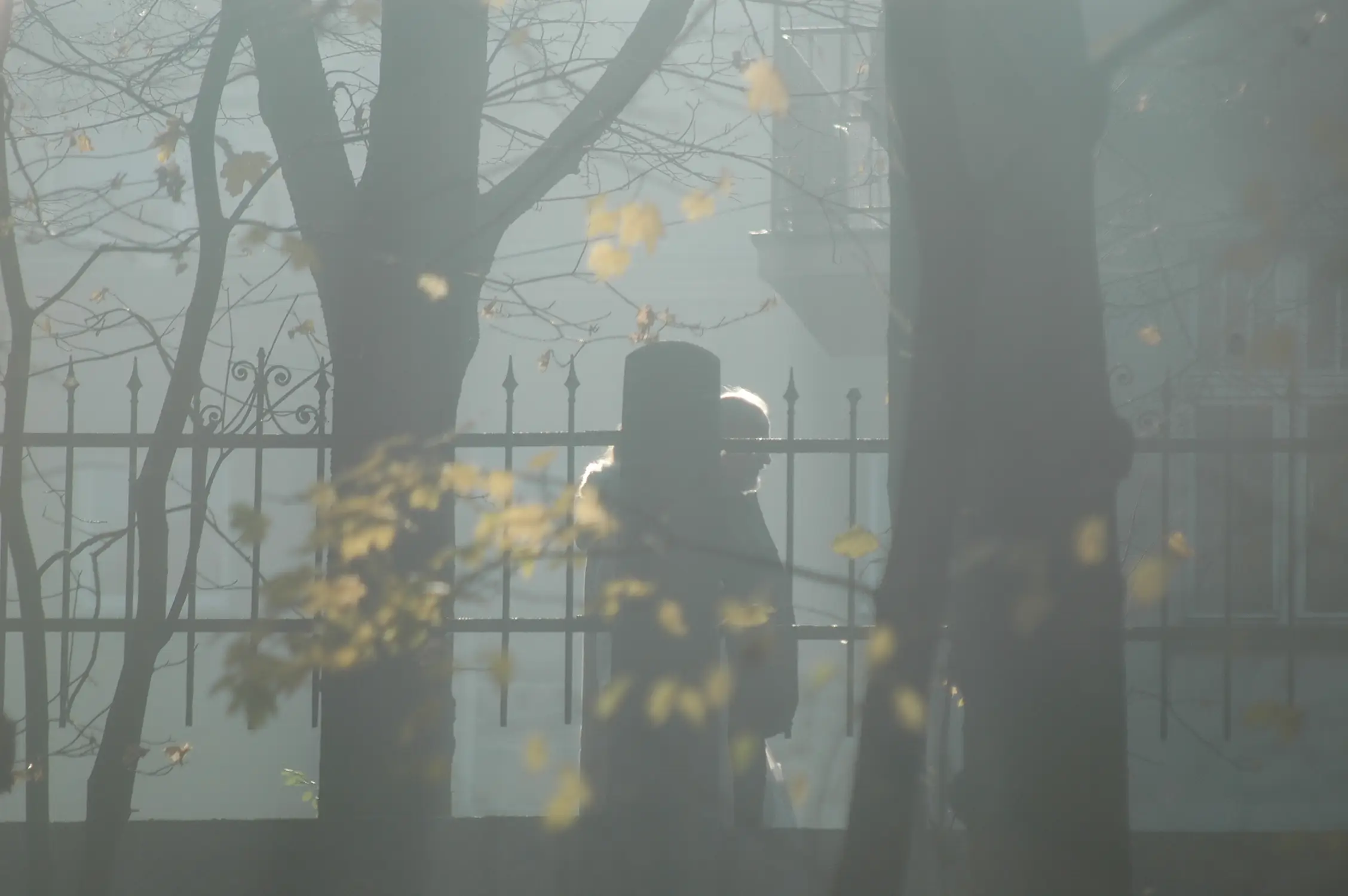 fot J BroÅ¼yna Park Tysiąclecia (15)