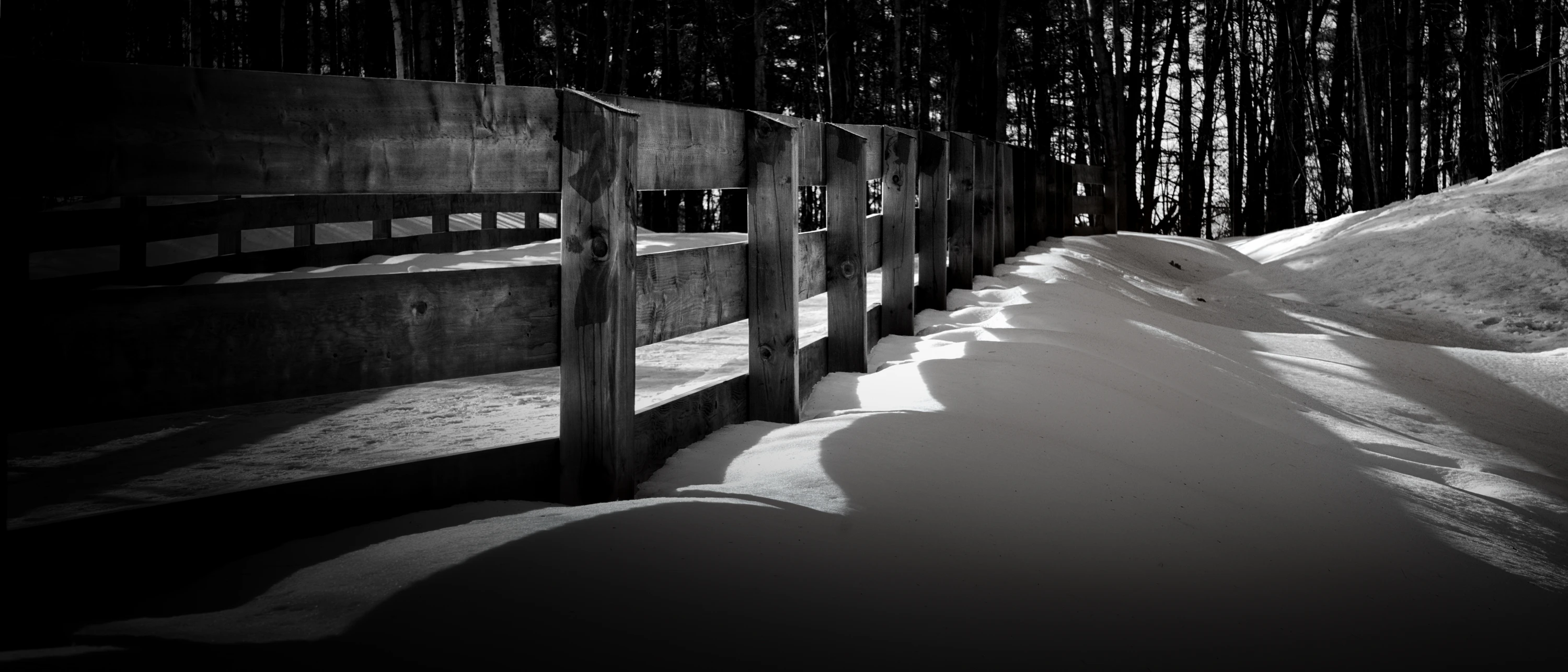 Spacer w lesie bez psa